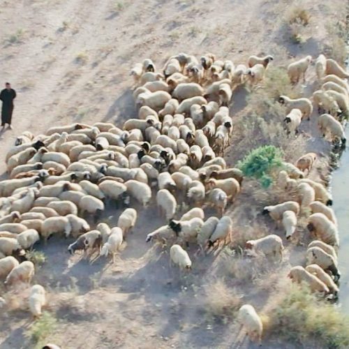 بالصور.. تنفيذ حملة لحفر الآبار في قرية "البغيلات" بمحافظة ميسان بسبب الجفاف