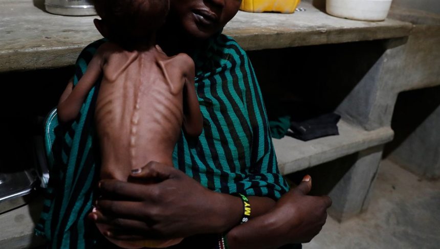 الأمم المتحدة تؤكد وجود مجاعة في الفاشر وكادوقلي بالسودان