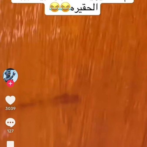 بسبب بعض الإساءات.. رئيس أركان الجيش يوجه بسحب هواتف جميع المنتسبين المشاركين بتأمين المراكز الانتخابية