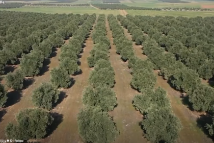 الزراعة: الخطة الشتوية ستشمل 4.5 مليون دونم باعتماد الري الحديث