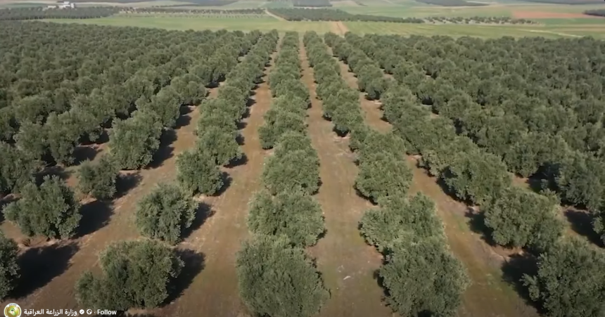 الزراعة: الخطة الشتوية ستشمل 4.5 مليون دونم باعتماد الري الحديث