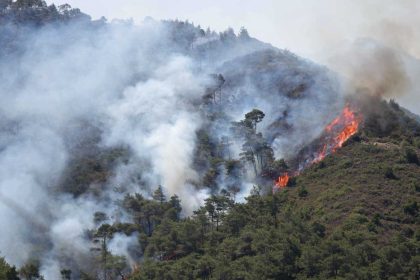 سوريا.. الحرائق تشتعل من جديد في جبال اللاذقية