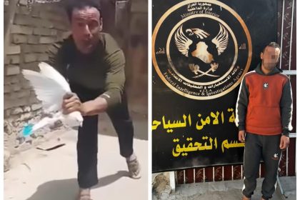 الداخلية تلقي القبض على متهم ظهر في مقطع فيديو "وهو يعذّب الطيور"