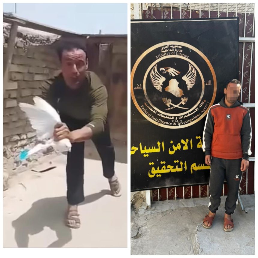 الداخلية تلقي القبض على متهم ظهر في مقطع فيديو "وهو يعذّب الطيور"