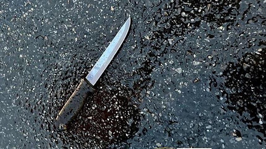 التحقيقات جارية لمعرفة الأسباب.. اعتقال أم قتلت ابنها وقطعت جثته في مدينة الصدر شرقي بغداد