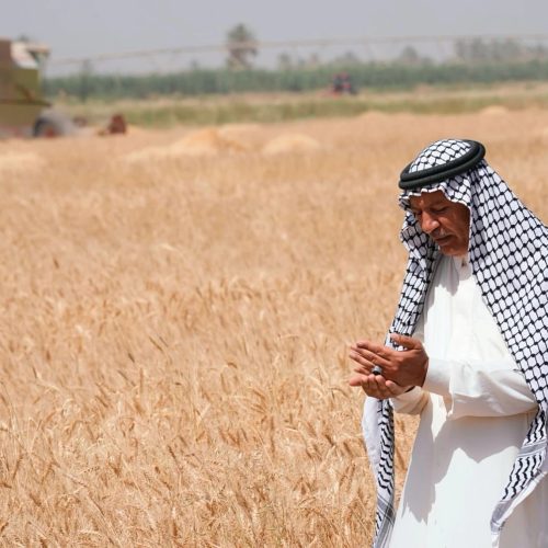العراق يطلب من الأغذية العالمي زيادة الدعم الدولي المخصص له بمجال الأمن الغذائي المستدام