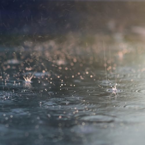 ديالى تعلن تعطيل الدوام الرسمي للمدارس فقط يوم غد الثلاثاء بسبب الظروف الجوية