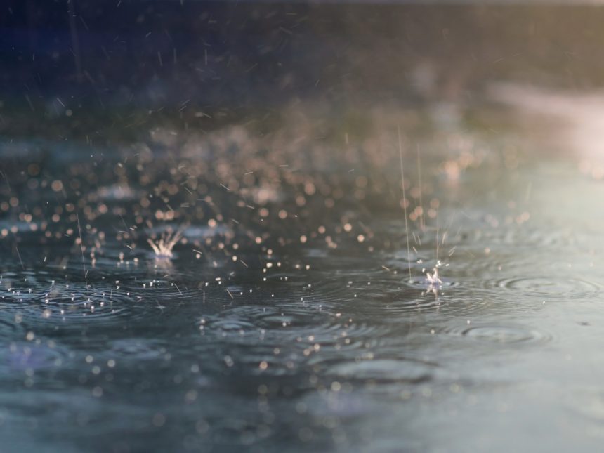 ديالى تعلن تعطيل الدوام الرسمي للمدارس فقط يوم غد الثلاثاء بسبب الظروف الجوية