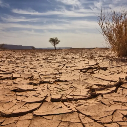 2024 الأكثر حرارة بتاريخ العرب.. تقرير يحذر من موجات حر وجفاف بعدة دول بينها العراق