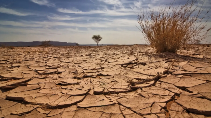 2024 الأكثر حرارة بتاريخ العرب.. تقرير يحذر من موجات حر وجفاف بعدة دول بينها العراق