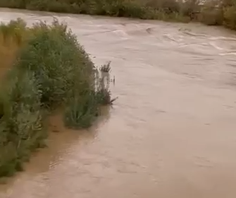 بالفيديو.. سيول غزيرة بقضاء علي الغربي في ميسان