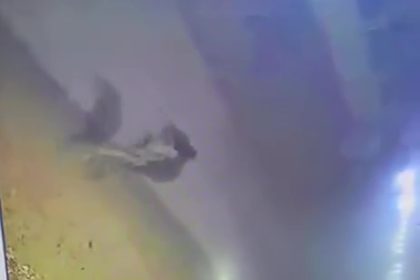 حكومة صلاح الدين بشأن اغتيال مختار منطقة البو دور: عمل إرهابي لن يمر دون عقاب