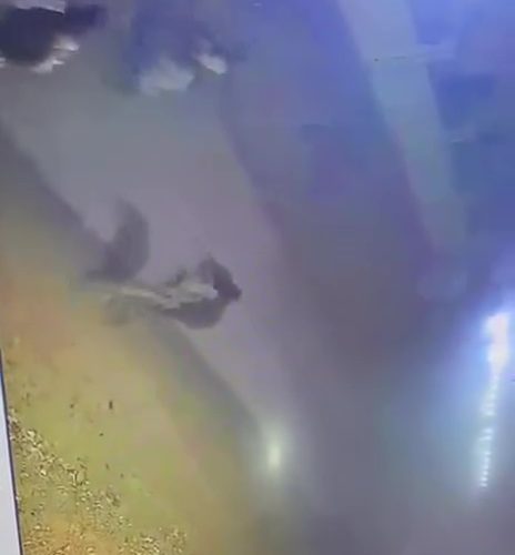 حكومة صلاح الدين بشأن اغتيال مختار منطقة البو دور: عمل إرهابي لن يمر دون عقاب