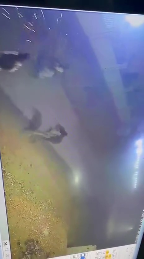 حكومة صلاح الدين بشأن اغتيال مختار منطقة البو دور: عمل إرهابي لن يمر دون عقاب