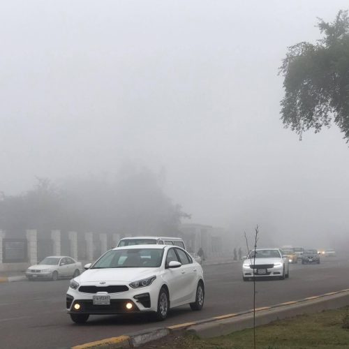 الأنواء تحذر: انعدام الرؤية الأفقية على الطرق الخارجية فجر وصباح الغد بسبب الضباب الكثيف