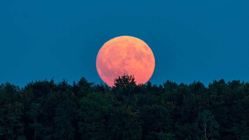 الولايات المتحدة تخطط لنشر مفاعل نووي على سطح القمر بحلول 2030