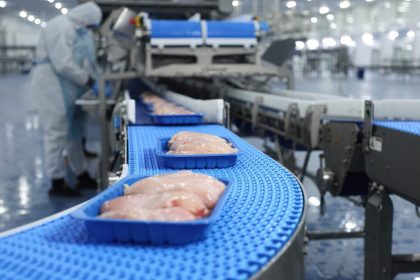 الزراعة: منع استيراد الدجاج والمقطعات والمصنعات سيدخل حيز التنفيذ ابتداءً من 15 كانون الثاني