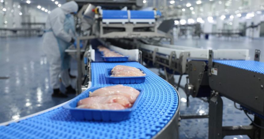 الزراعة: منع استيراد الدجاج والمقطعات والمصنعات سيدخل حيز التنفيذ ابتداءً من 15 كانون الثاني