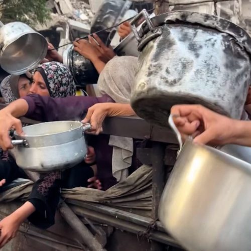 1.6 مليون فلسطيني يواجهون المجاعة في غزة ووفاة 1200 مريض بسبب الحصار