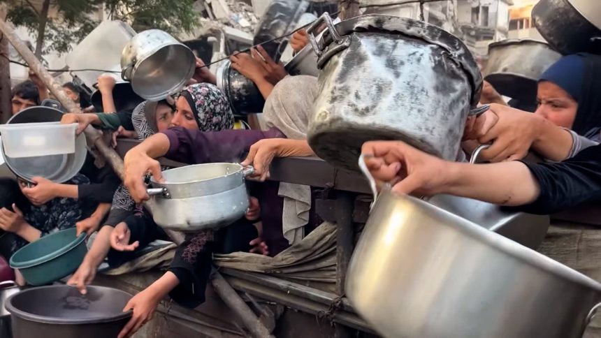 1.6 مليون فلسطيني يواجهون المجاعة في غزة ووفاة 1200 مريض بسبب الحصار