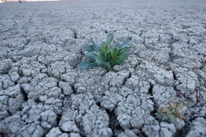 فيضانات وحرائق وجفاف.. تغير المناخ يعيد تشكيل العالم في 2025