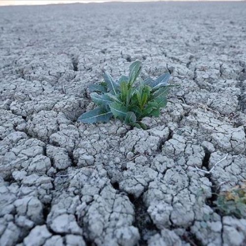 فيضانات وحرائق وجفاف.. تغير المناخ يعيد تشكيل العالم في 2025