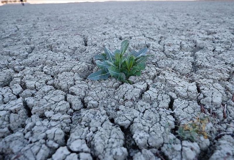 فيضانات وحرائق وجفاف.. تغير المناخ يعيد تشكيل العالم في 2025