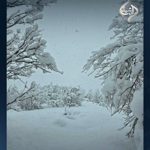 بالصور.. الثلوج تغطي مناطق في إقليم كردستان