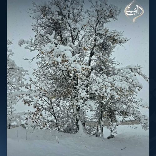 بالصور.. الثلوج تغطي مناطق في إقليم كردستان