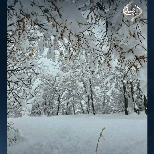 بالصور.. الثلوج تغطي مناطق في إقليم كردستان