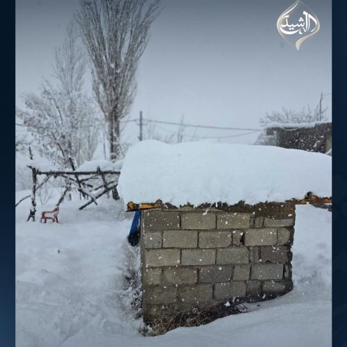 بالصور.. الثلوج تغطي مناطق في إقليم كردستان