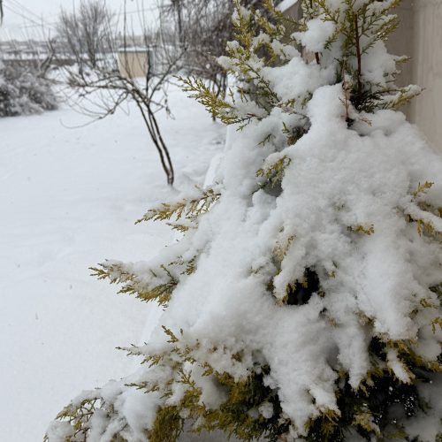 الأنواء: العراق يتأثر بموجة قطبية تتسبب بانخفاض درجات الحرارة إلى الصفر المئوي أو أدنى خلال الأيام القادمة