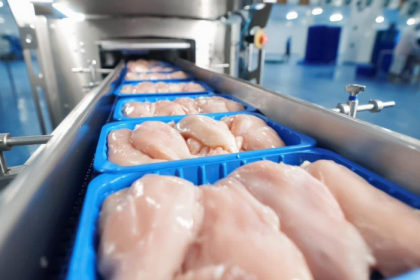 وزارة الزراعة: قرار منع استيراد الدواجن المجمدة لم يدخل حيز التنفيذ