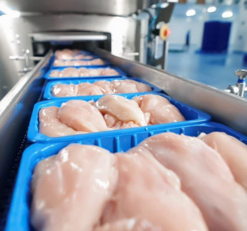 وزارة الزراعة: قرار منع استيراد الدواجن المجمدة لم يدخل حيز التنفيذ