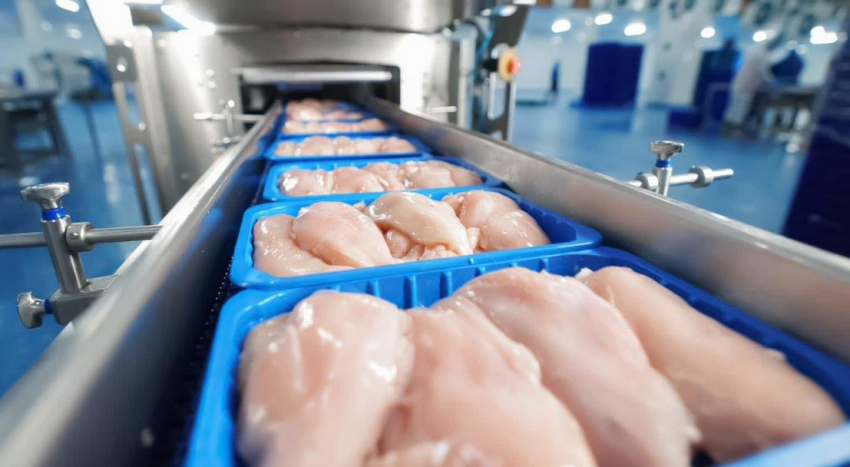 وزارة الزراعة: قرار منع استيراد الدواجن المجمدة لم يدخل حيز التنفيذ