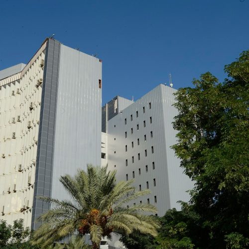 المالية: قرار مجلس الوزراء لا يمس مخصصات الخدمة الجامعية الممنوحة للإداريين والفنيين