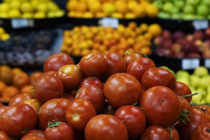 أبرزها الطماطم والخس والقرنبيط.. العراق يحقق الاكتفاء الذاتي لأكثر من 48 منتجاً ويمنع استيرادها