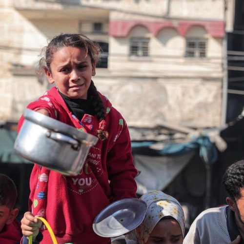 صحة غزة تُفنّد مزاعم الاحتلال وتكشف عن تراجع مواليد القطاع بنسبة 11%