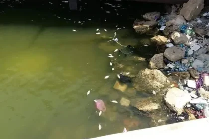 مرصد بيئي: بغداد وواسط وميسان والبصرة تعتمد على مصدر مياه ملوث بمواد خطرة يصعب تصفيتها