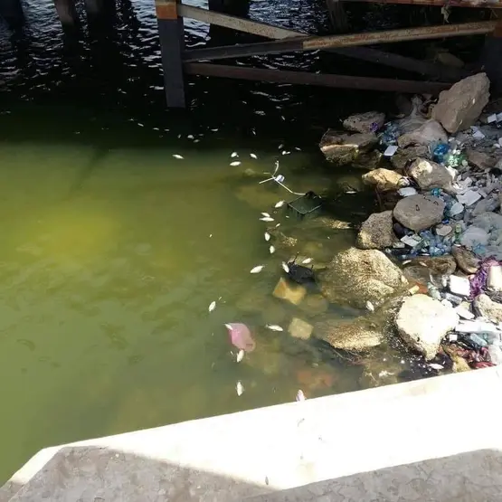 مرصد بيئي: بغداد وواسط وميسان والبصرة تعتمد على مصدر مياه ملوث بمواد خطرة يصعب تصفيتها