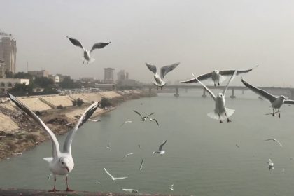 الانواء الجوية: درجات حرارة مرتفعة لغاية الاسبوع المقبل