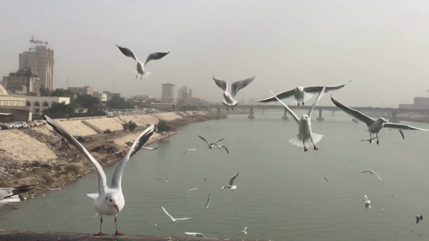 الانواء الجوية: درجات حرارة مرتفعة لغاية الاسبوع المقبل