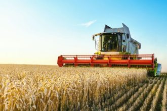 أسعار القمح تواصل ارتفاعها في الأسواق العالمية وسط مخاوف بشأن إمدادات الحبوب