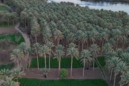 الموارد: تعزيز الخزين المائي الاستراتيجي بـ6 مليارات متر مكعب نتيجة الأمطار