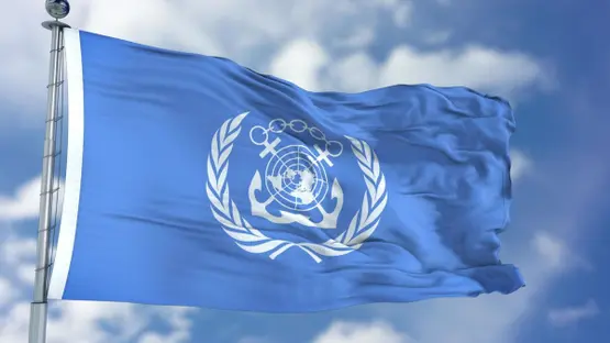 المنظمة البحرية الدولية: نطالب بآلية لضمان أمن العبور في مضيق هرمز