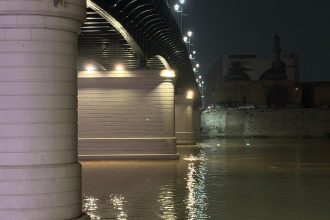 العراق يشكل لجاناً لحصر خسائر الثروة السمكية نتيجة تلوث مياه نهر دجلة