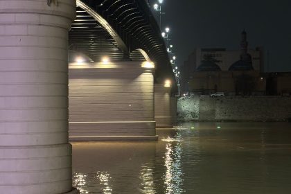 العراق يشكل لجاناً لحصر خسائر الثروة السمكية نتيجة تلوث مياه نهر دجلة