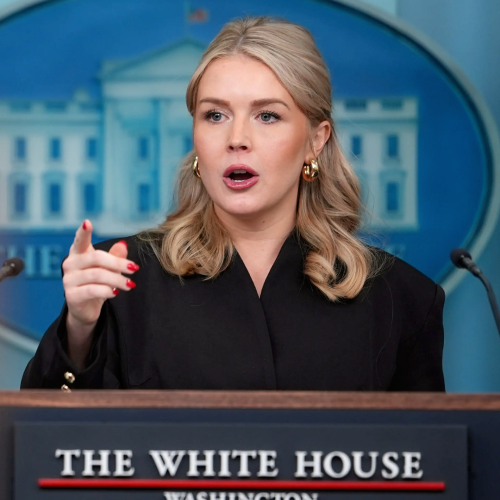 البيت الأبيض: نمتلك خططا بديلة بشأن مضيق هرمز إذا دعت الحاجة