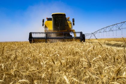 العراق يعلن تأمين خزين الحنطة لعام كامل ويفعل خطة الطوارئ للأمن الغذائي