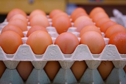 سعر "الطبقة" تجاوز الـ(6000) دينار.. العراق يتخذ إجراءات عاجلة لإيقاف المضاربة بأسعار بيض المائدة